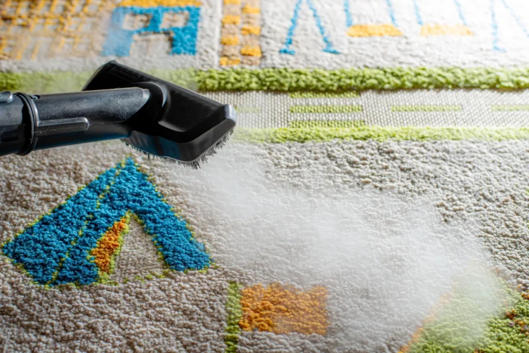 Read more about the article Top Features to Look for in the Best Carpet Cleaning Service in Asia
